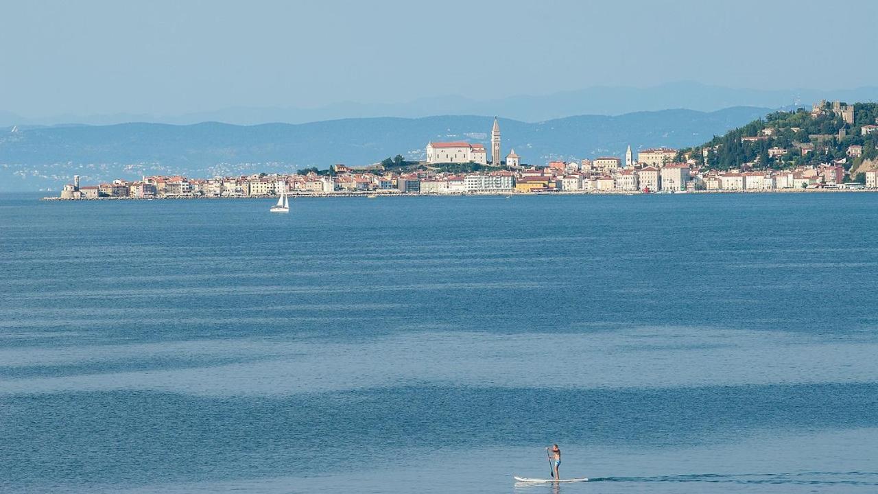 Apartment Riva *