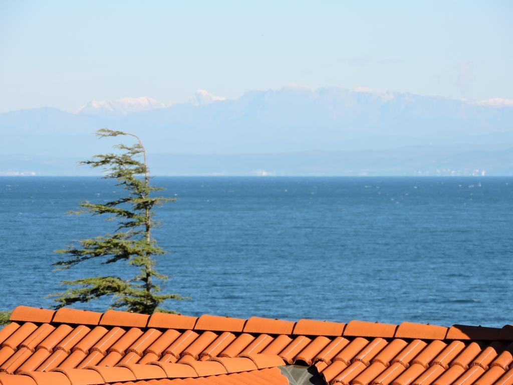 Apartment Riva